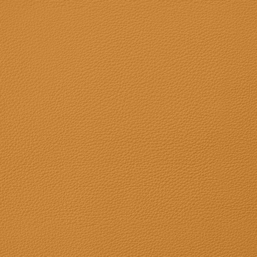 Marine Fabric * | Eversoft Indoor/Outdoor Butterscotch 54 Vinyl Fabric