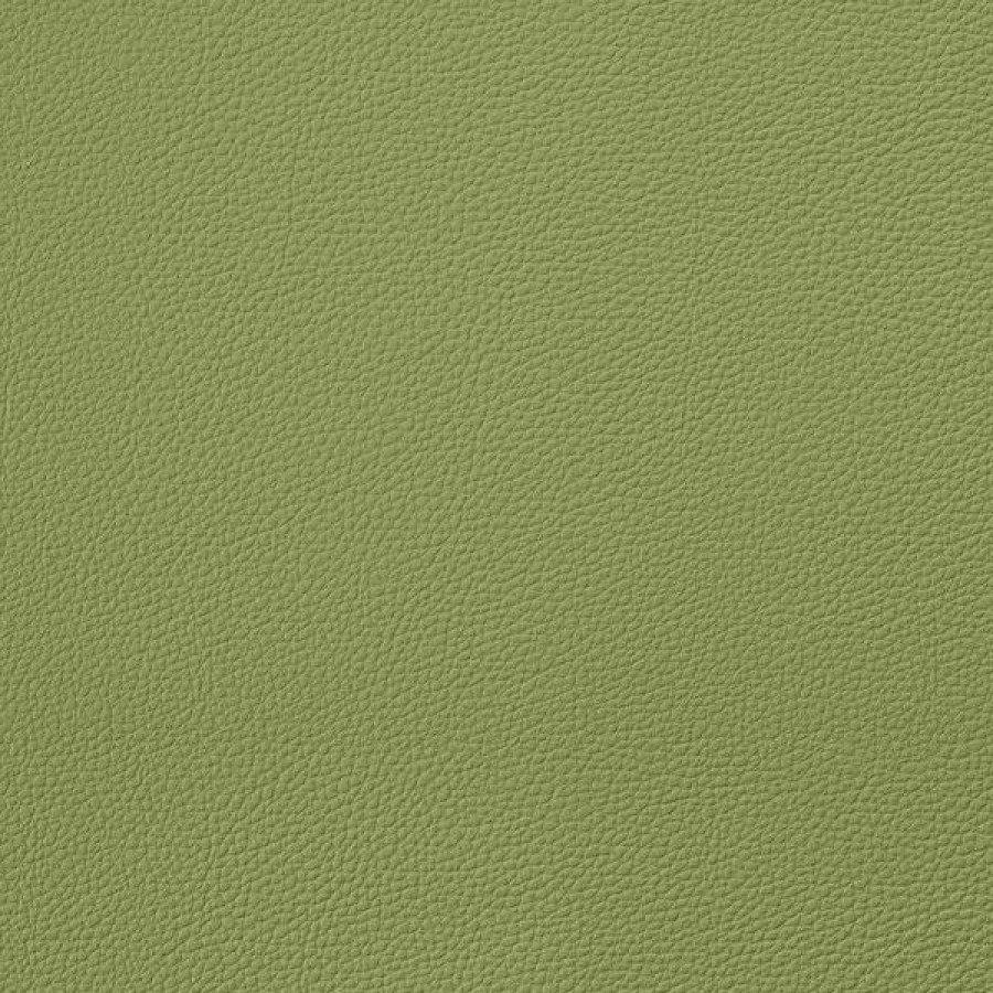 Marine Fabric * | Eversoft Indoor/Outdoor Green 54 Vinyl Fabric