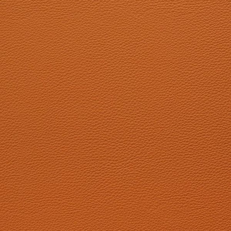 Marine Fabric * | Eversoft Indoor/Outdoor Burnt Orange 54 Vinyl Fabric