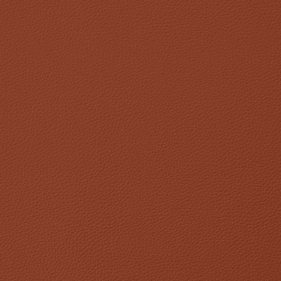 Marine Fabric * | Eversoft Indoor/Outdoor Rust 54 Vinyl Fabric